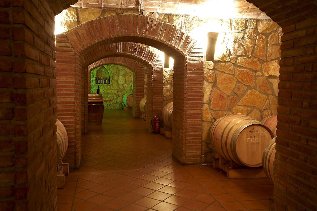 BateaEnoturismo Celler Pinolアパートメント エクステリア 写真